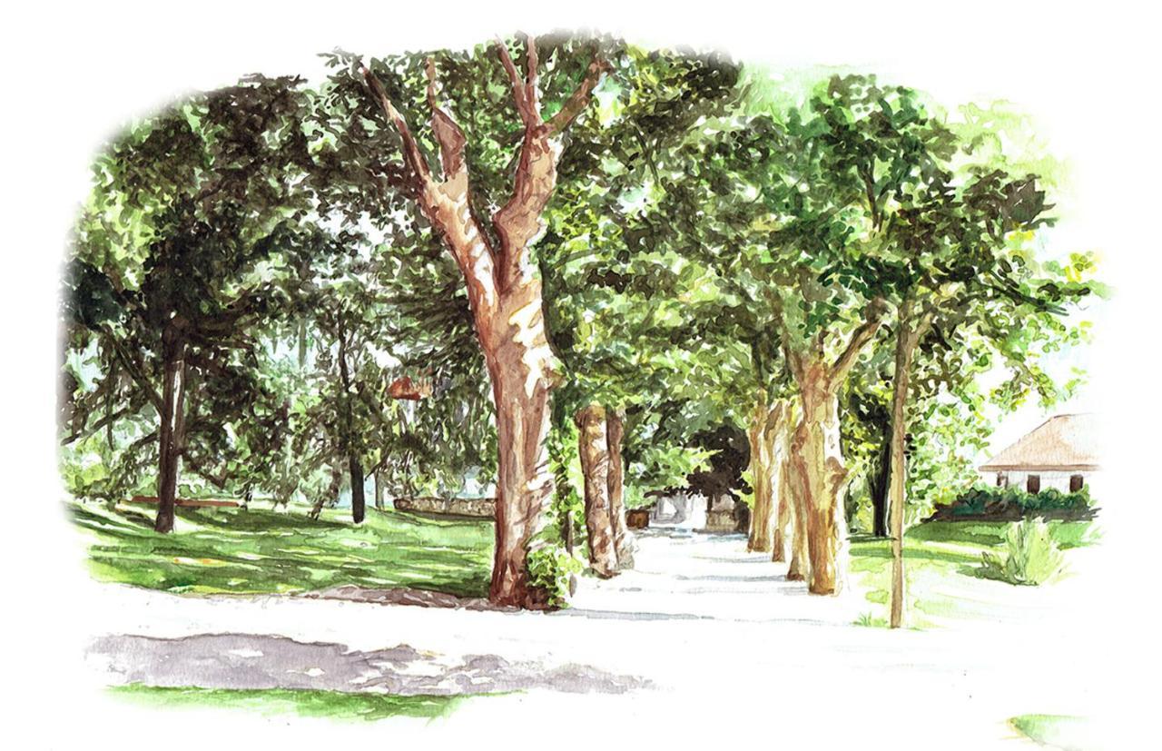 Chateau Brachet Gresy-sur-Aix ภายนอก รูปภาพ